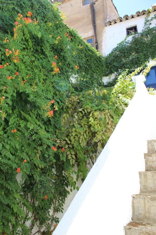 Villa Casa Alcaida Ciudad Ciudad Quesada Exterior foto